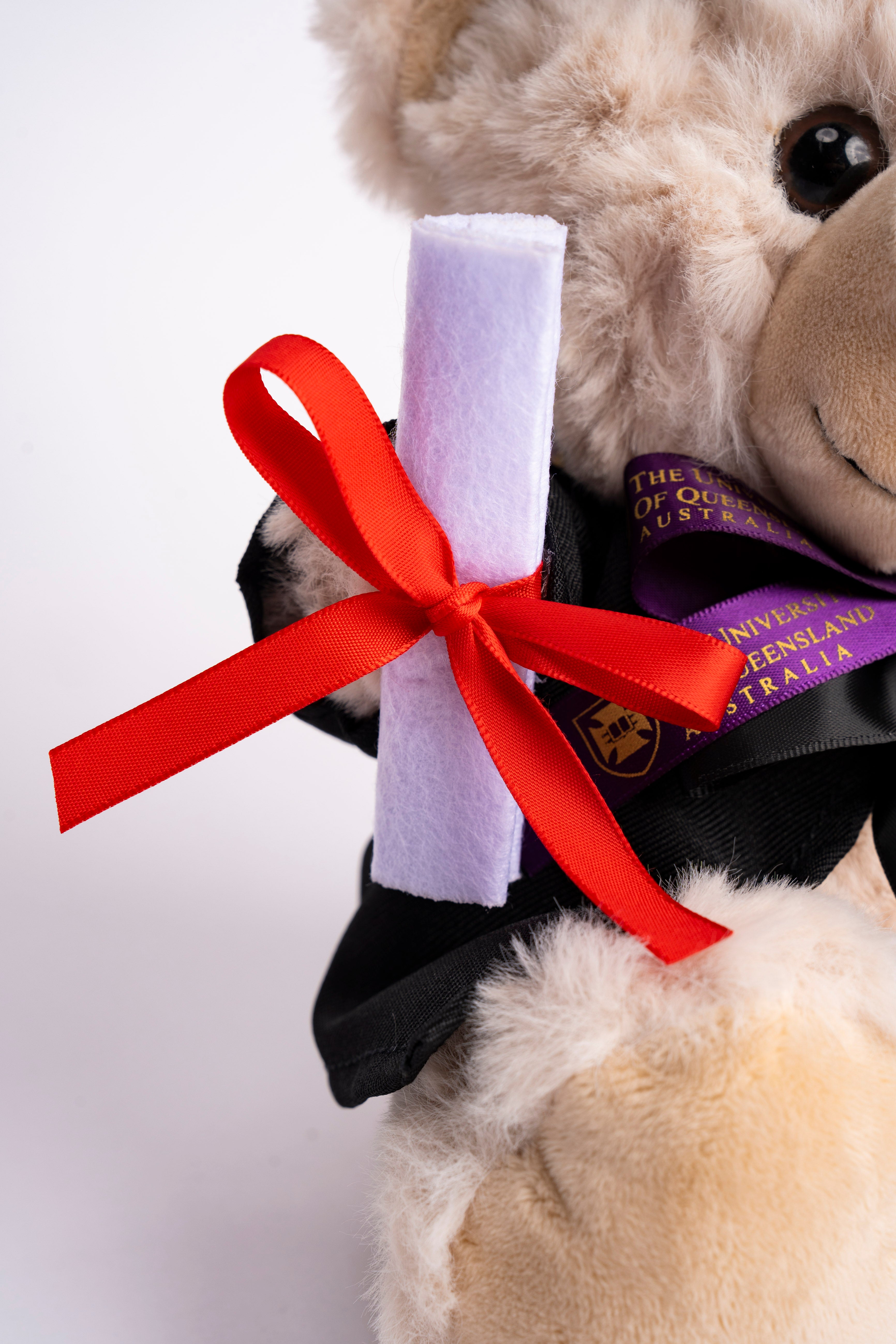 UQ Graduation Bear