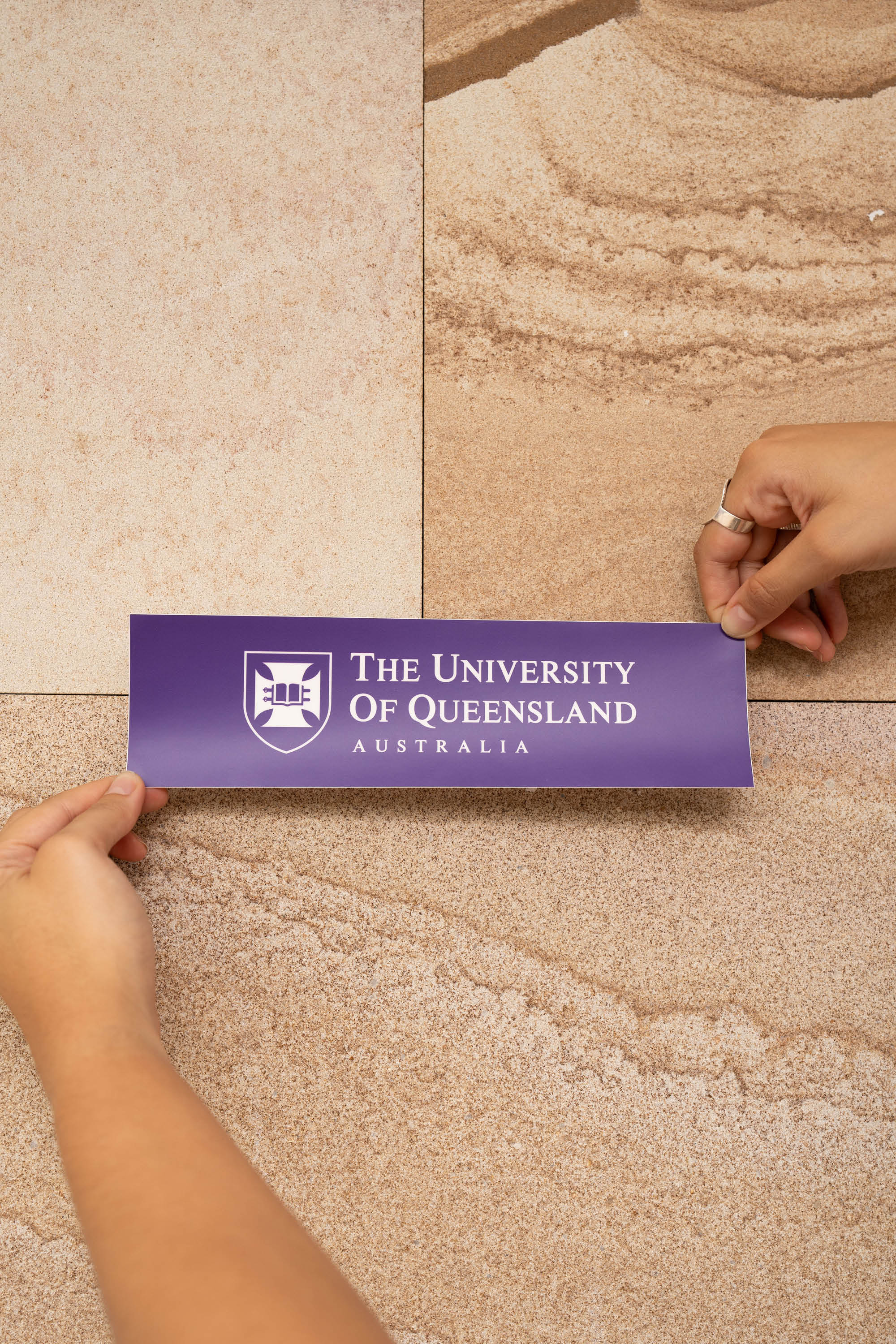 UQ Shield Bumper Sticker