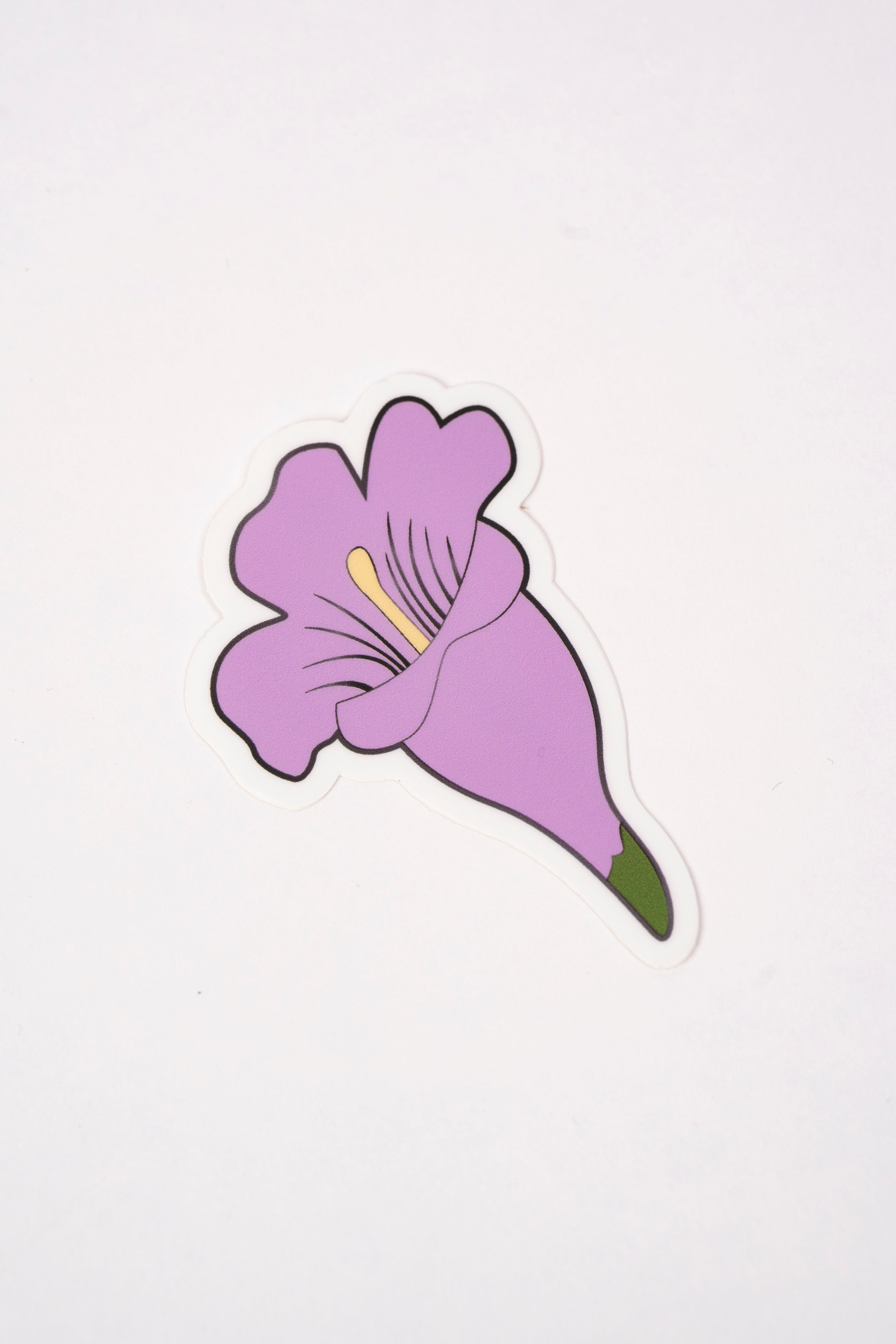 UQ Jacaranda Laptop Sticker