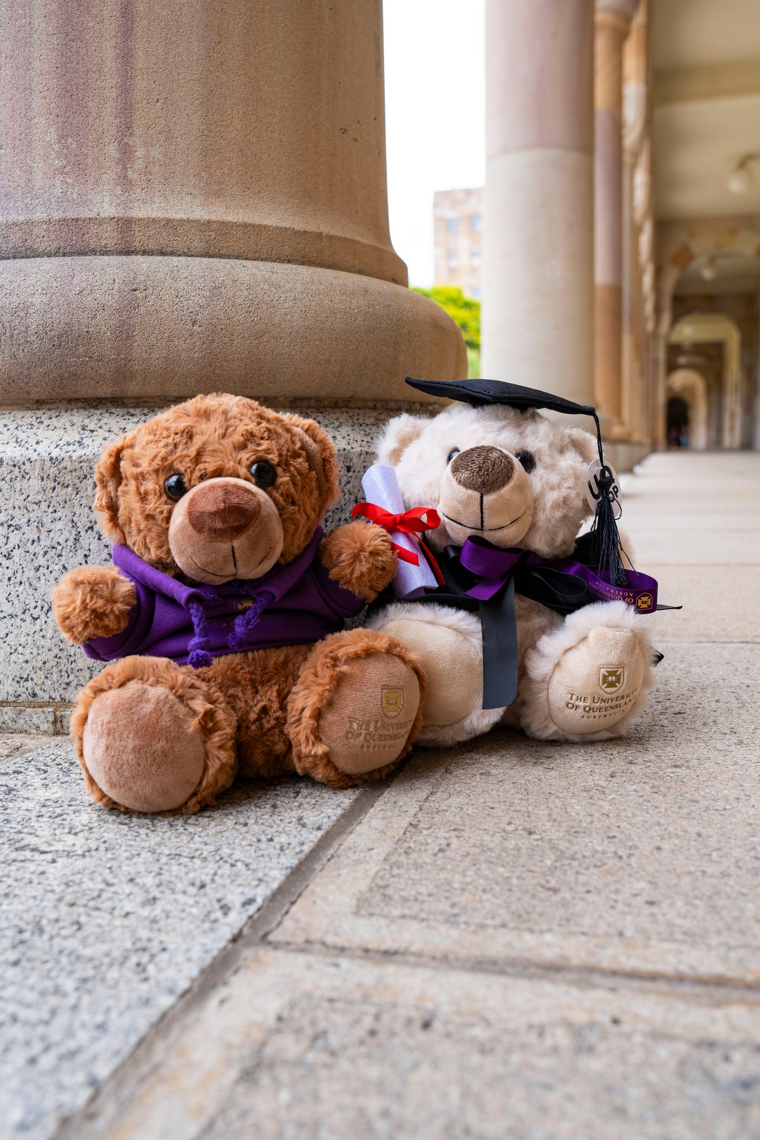Bears