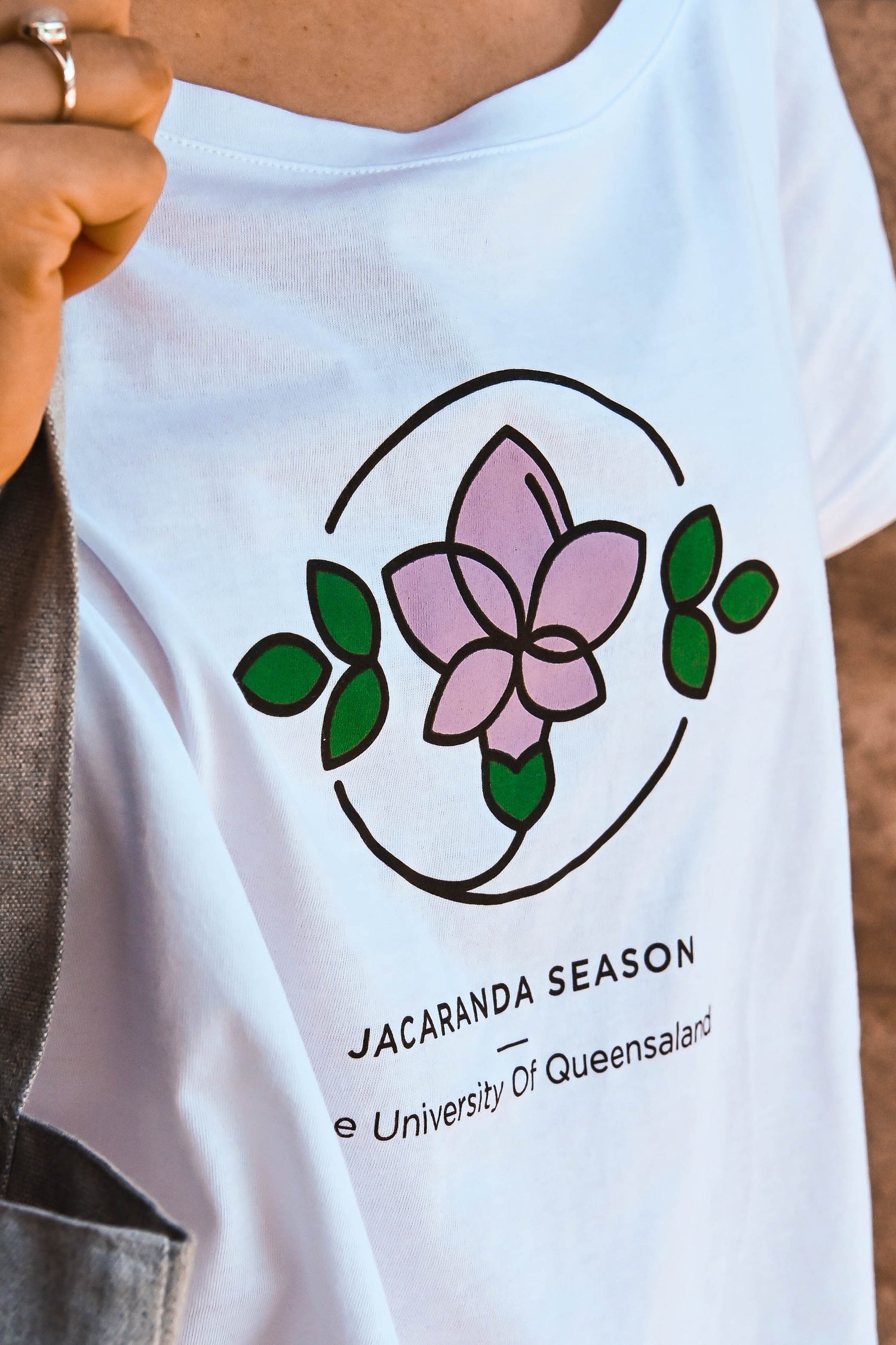 Jacaranda Season
