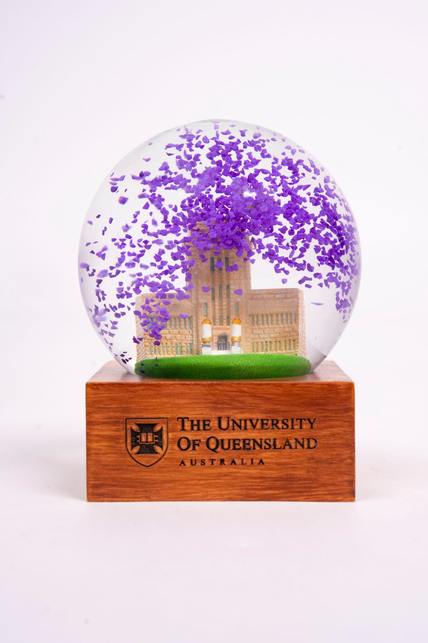 UQ Jacaranda Globe