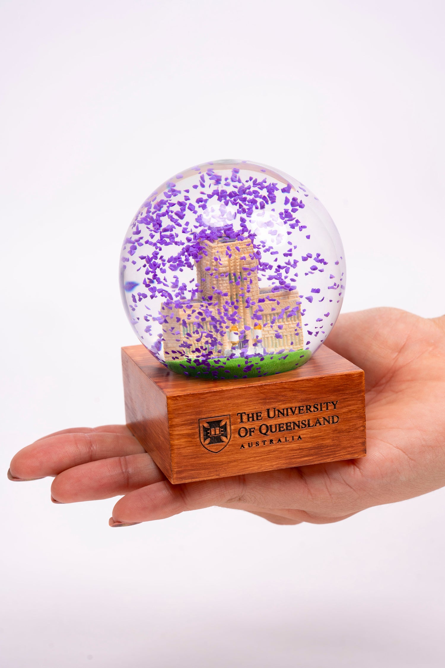 UQ Jacaranda Globe