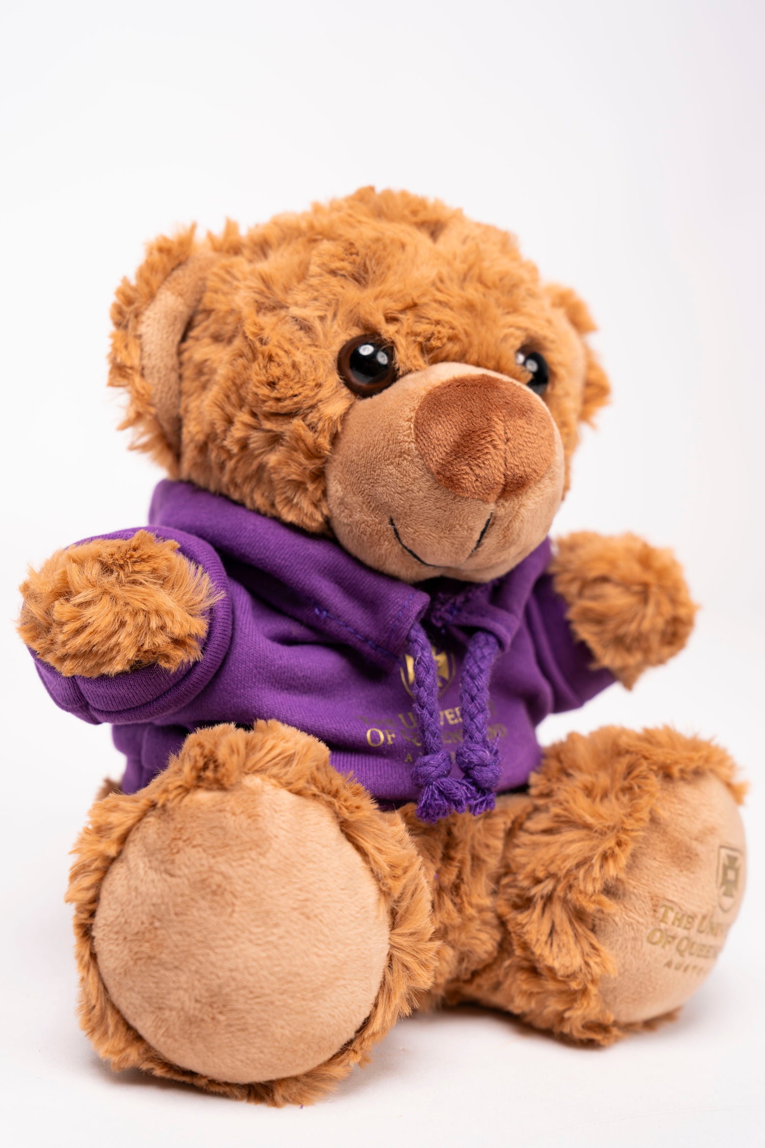 UQ Study Bear