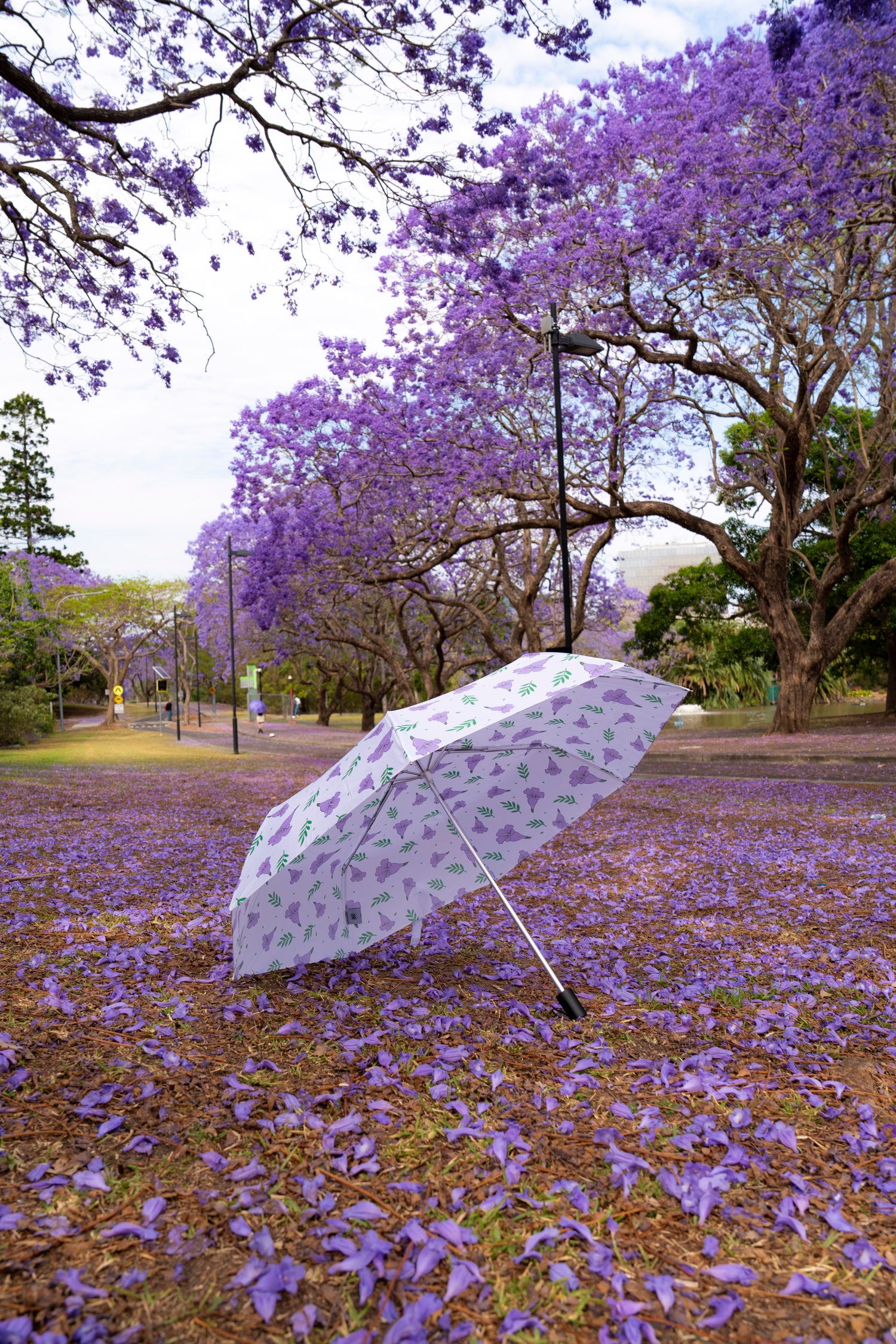 UQ Jacaranda Umbrella
