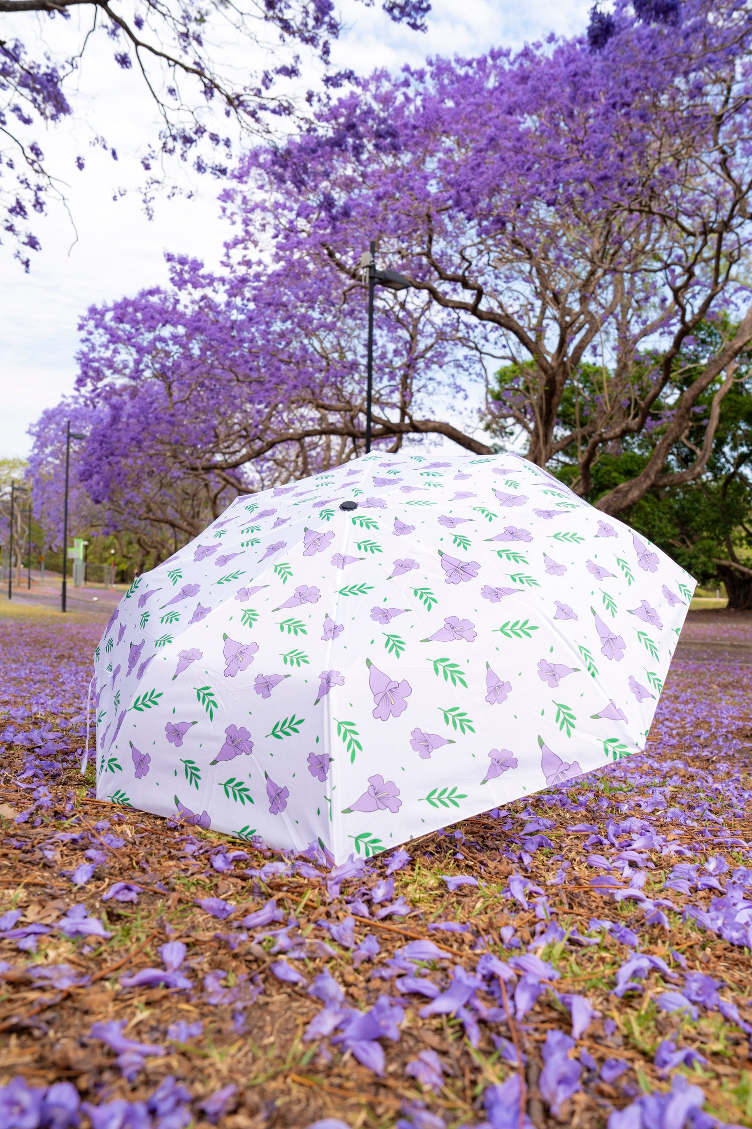 UQ Jacaranda Umbrella