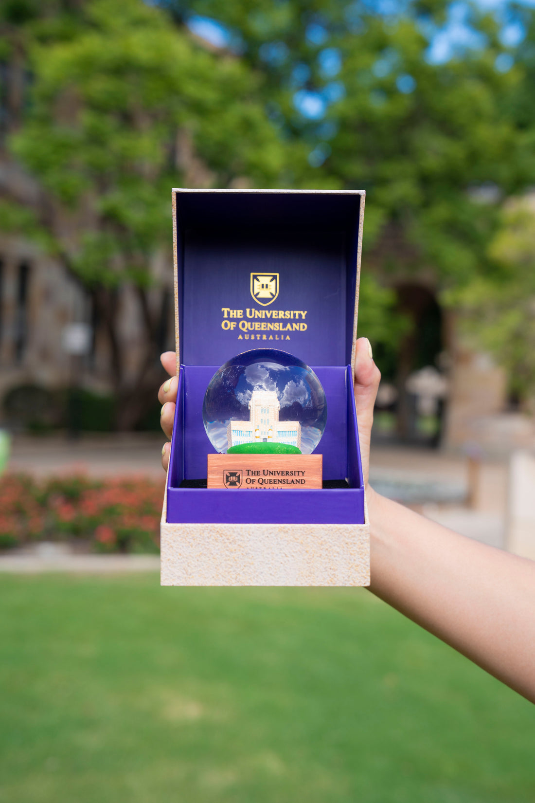 UQ Jacaranda Globe with Premium Gift Box