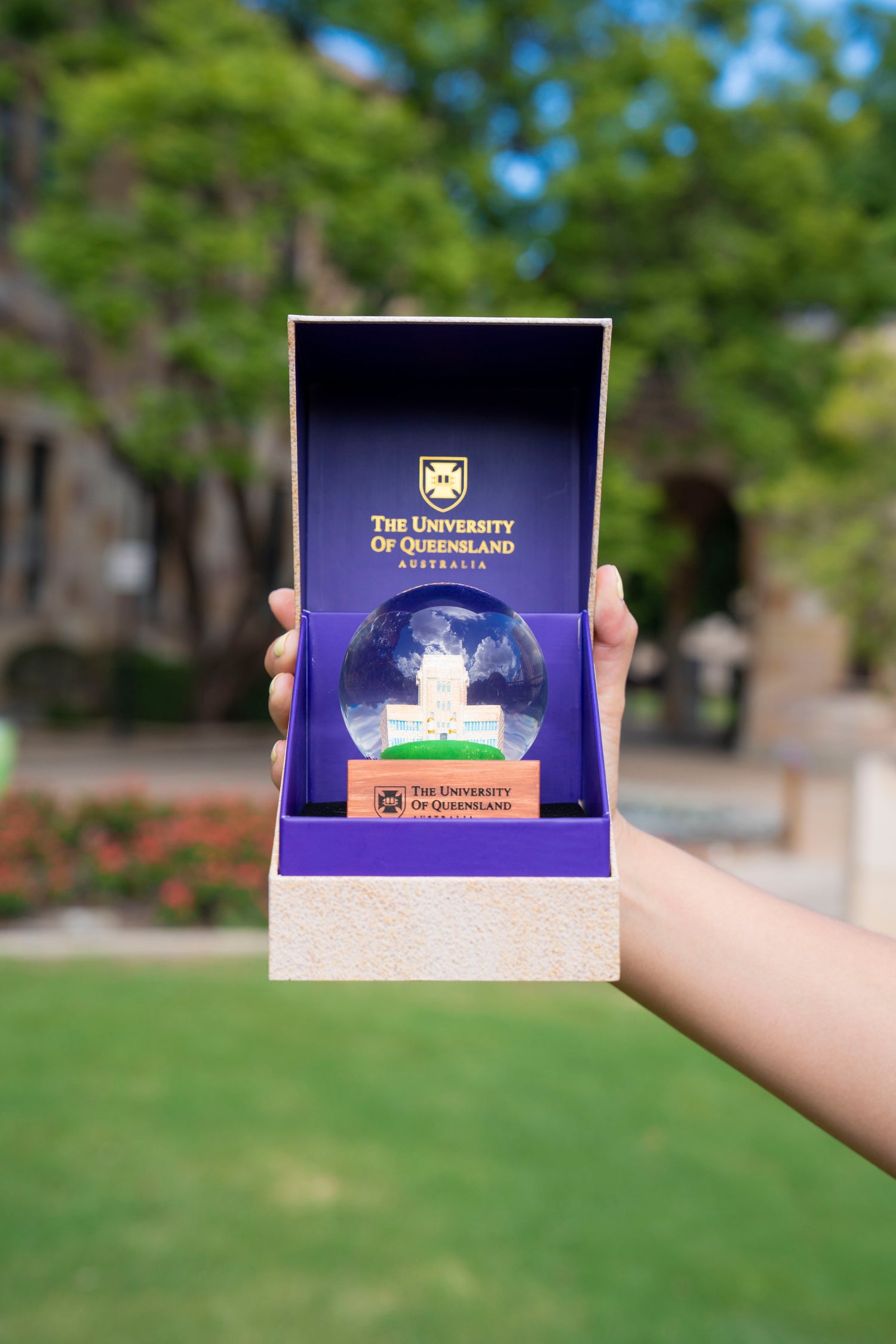 UQ Jacaranda Globe with Premium Gift Box